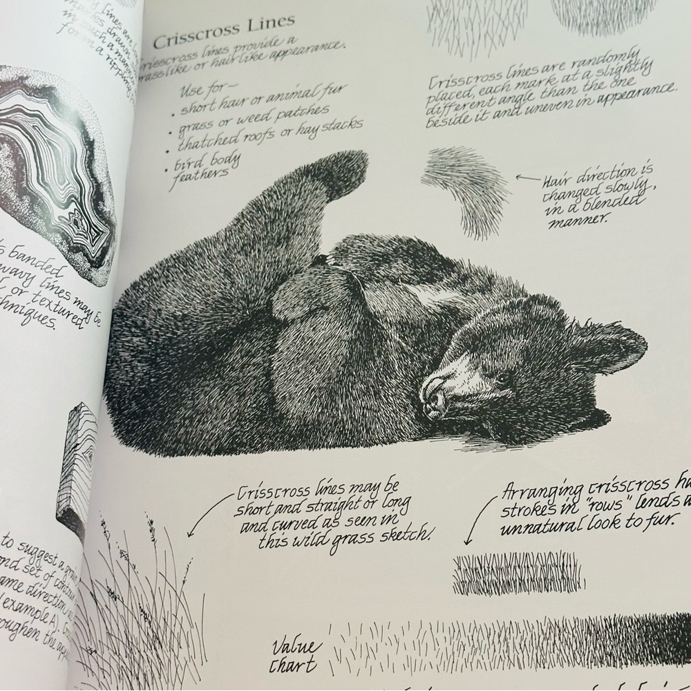 SIGNED Drawing In Pen & Ink Claudia Nice First Steps Series Paperback Book - Picture 8 of 10